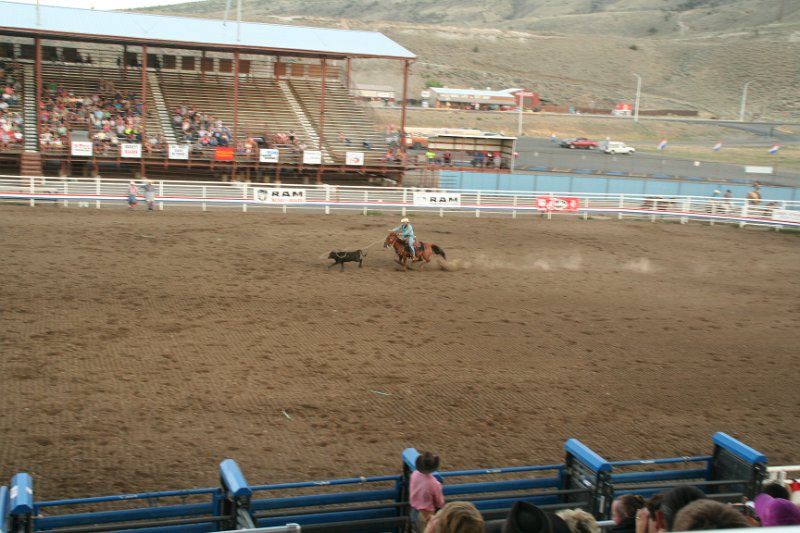 Trip (194).JPG - Cattle roping at the Cody, Wyoming rodeo